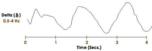Delta Wave