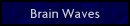 Brain Waves