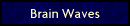 Brain Waves