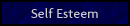 Self Esteem